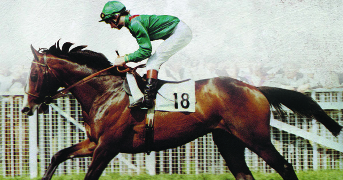 Horse Theft Cold Case Focus of November's Kentucky Proud Evening UKNow